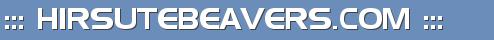 ::: HIRSUTEBEAVERS.COM :::